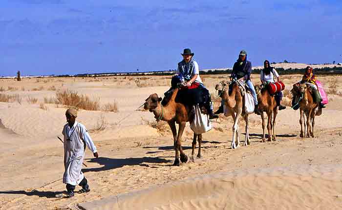 safari in tunisia
